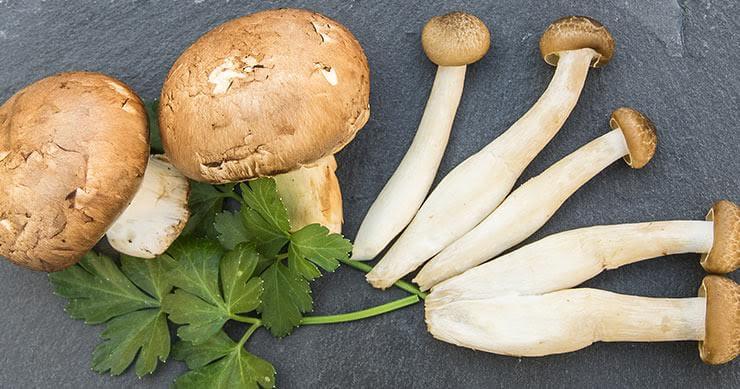 The ONLY Superfood Source for Vitamin D