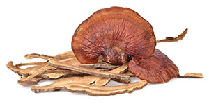 Organic Mushrooms