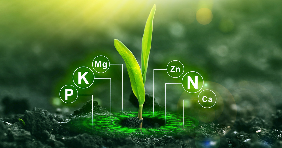 8 Health Benefits of Fulvic Acid