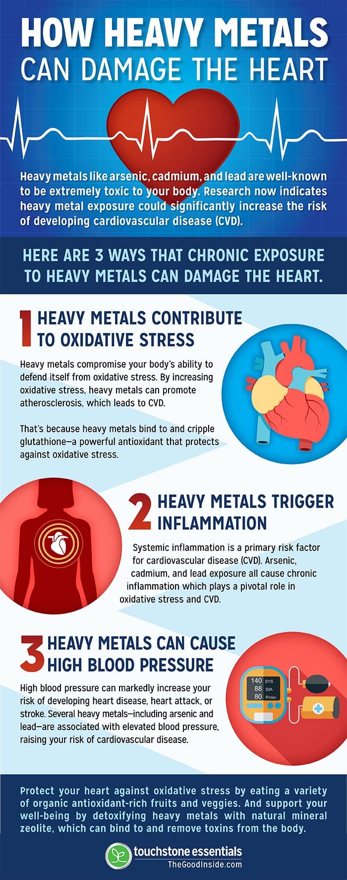 How Heavy Metals Can Damage the Heart
